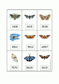 Moth Thousands Card Game